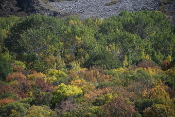 Colorful autumn landscape at the foot of the mountain