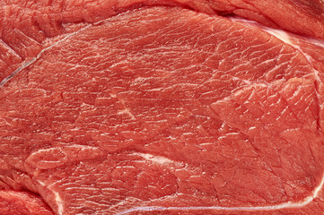 raw beef filet meat texture macro