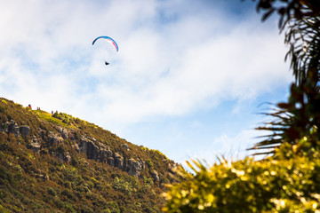 Paraglider at Mount Maunganui