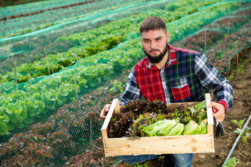 Portrait of farmer with box of vegetables on the background of seedbed