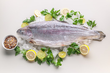 Fresh sea salmon. Spices, lemon, fresh parsley and ice. Light background. Organic food