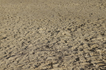 Nature around my living place