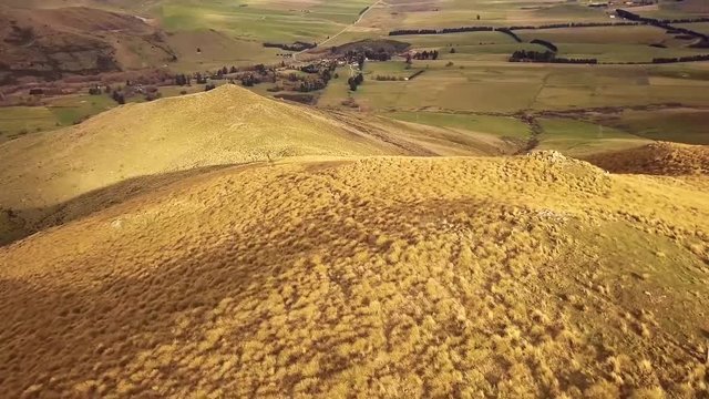  Flight over flock of sheep grazing in New Zealands