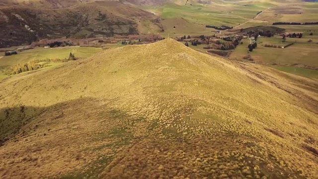  Flight over flock of sheep grazing in New Zealands
