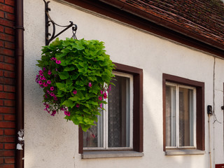 Fototapeta na wymiar Beautiful house with decorative landscaping on a city street. Wolsztyn, Poland