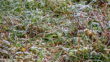 Der erste Nachtfrost legt sich über das Gras
