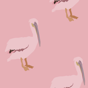 Delicate pink pelikan vector illustration. Picture with exotic birds on a tender pink background. Endless pattern.