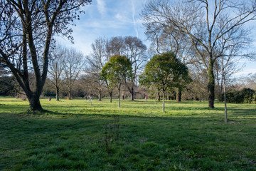 Green pakr and grass at Vincennes, France
