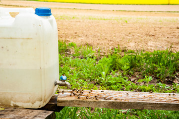 Bees are drinking fresh dripping water from drinker