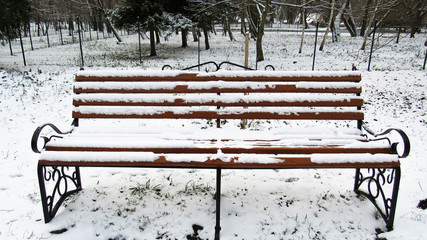 frozen park in winter