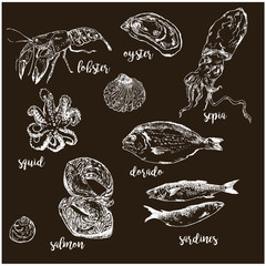 Fish and sea food hand drawnwhite chalk on blackboard vector illustration. Fish and sea food market names and menu restaurant or cafe. Fish seafood sketch.
