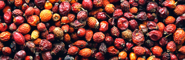 Dried rose hip background. Rose flower. Panorama.