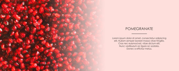 Fresh seeds of red pomegranate. Food pattern background. Web article template. Long header banner format. Sale coupon. Visit card. Your information. Text space.