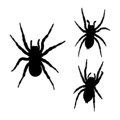Collection of spiders silhouettes isolated on white background. Vector illustration