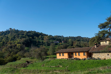The park of Montevecchia and Curone, Italy, at fall