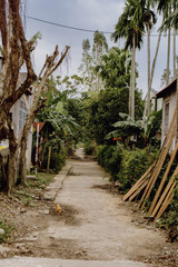 Central Vietnam back roads and homes and roads