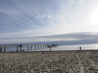 Fototapeta premium OLYMPUS DIGITAL CAMERA