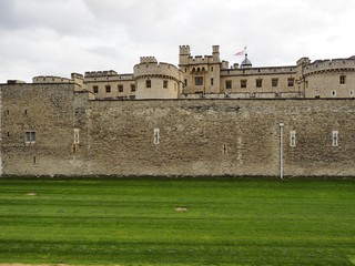 Fototapeta premium OLYMPUS DIGITAL CAMERA