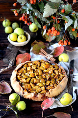 Apple Galette with cinnamon, autumn still life