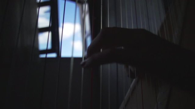 Slow motion of harp strings vibration