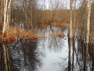 In autumn, after rains, the river spilled and flooded the garden, forest, meadow.