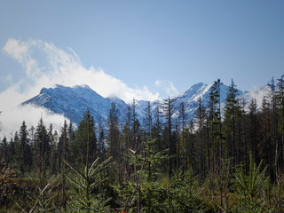 Beautiful view on the Rusinowa Polana, Tatra mountains in Poland © Wiktoria Matynia
