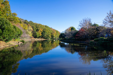 秋の公園