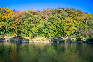 秋の公園