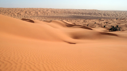 Dune del Sahara