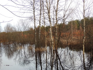 In autumn, after rains, the river spilled and flooded the garden, forest, meadow.