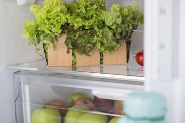 Open fridge full of fresh fruits and vegetables