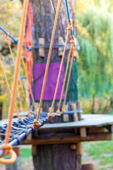 Wooden suspension bridges on a pine tree between trees. Attraction in an amusement park.