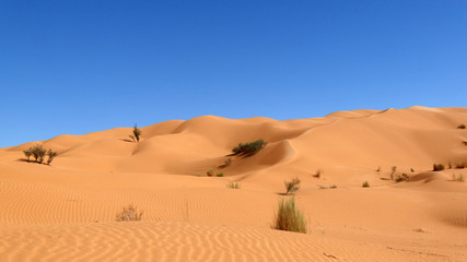 Fototapeta na wymiar Panorama deserto Sahara