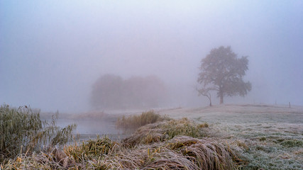 Krajobraz wiejski Podlasia, Poranek z mgłami i szronem, Wierzby z Doliny Narwi © podlaski49