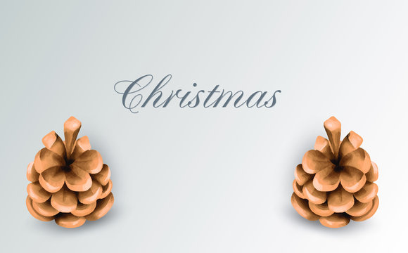 Single decorational pine cone isolated