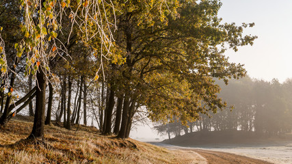 Krajobraz wiejski Podlasia, Poranek z mgłami i szronem, Wierzby z Doliny Narwi © podlaski49