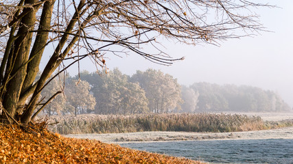Krajobraz wiejski Podlasia, Poranek z mgłami i szronem, Wierzby z Doliny Narwi © podlaski49