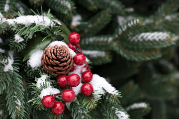 Christmas decorations on a fir branches covered by snow on winter street. New Year tree with toy pine cone and rowan berries, magic of the holiday