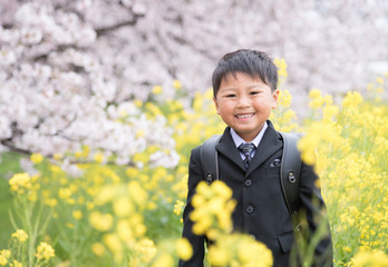 小学校に入学する男の子