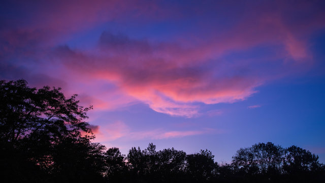 pink clouds on a blue sky during sunset and tree silhouettes
