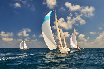 Sport sailing yachts in the race