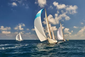 Wandaufkleber Sport sailing yachts in the race © Alvov