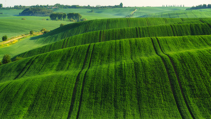 hilly field. agricultural field. beautiful hills