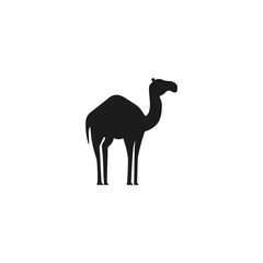 Camel logo. Silhouette vector design 