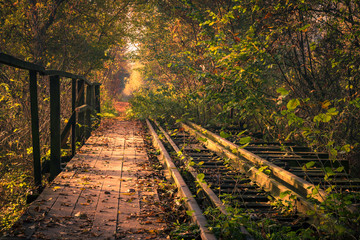 Old wooden narrow-gauge railway bridge nearby Tarczyn, Masovia, Poland