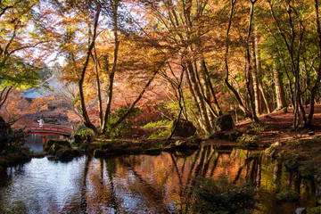昼間の醍醐寺・弁天堂