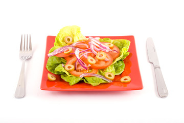 Fresh tasty salad on a red plate