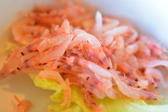 桜海老 の画像 926 件の Stock 写真 ベクターおよびビデオ Adobe Stock