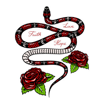 Milk snake with flowers in Vintage style. Serpent cobra or python or poisonous viper. Engraved hand drawn old reptile sketch for Tattoo. Anaconda for sticker or logo or t-shirts.