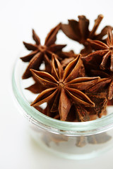 Star anise seed, cooking spice 